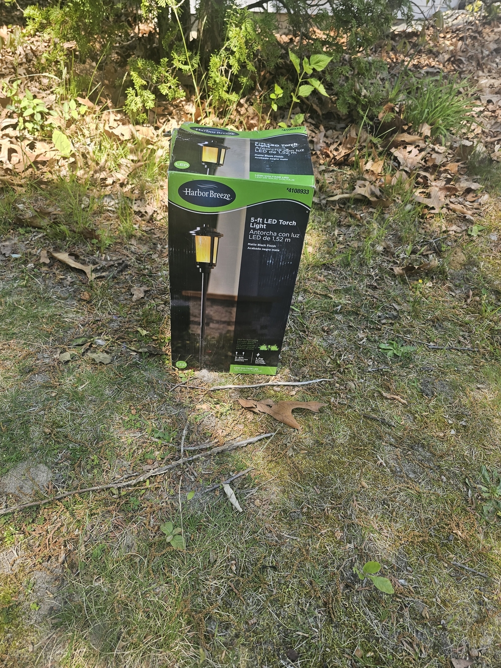 Black 5-ft LED Torch Light Lantern